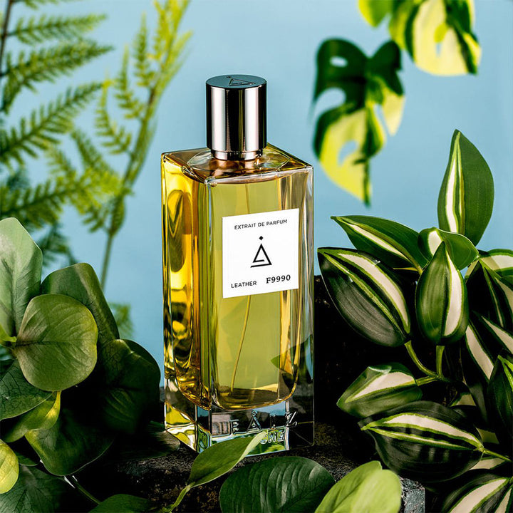 Men Perfumes
